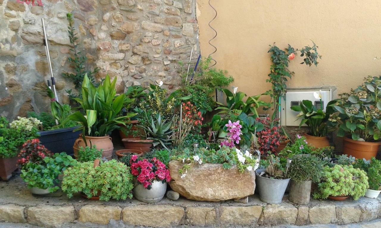 Estudios Casa Lola De Talarn المظهر الخارجي الصورة